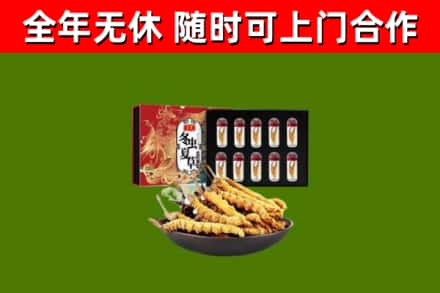 五指烟酒回收冬虫夏草礼盒.jpg