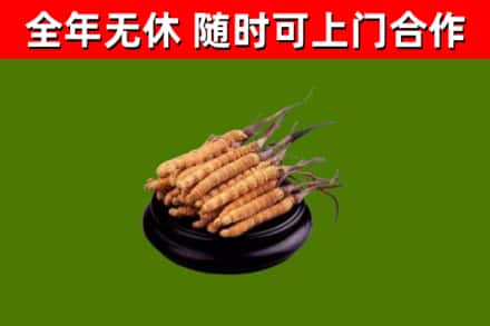 五指回收冬虫夏草