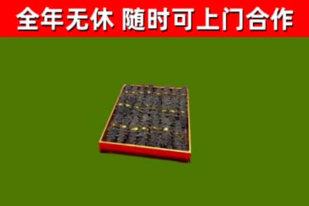 五指回收海参